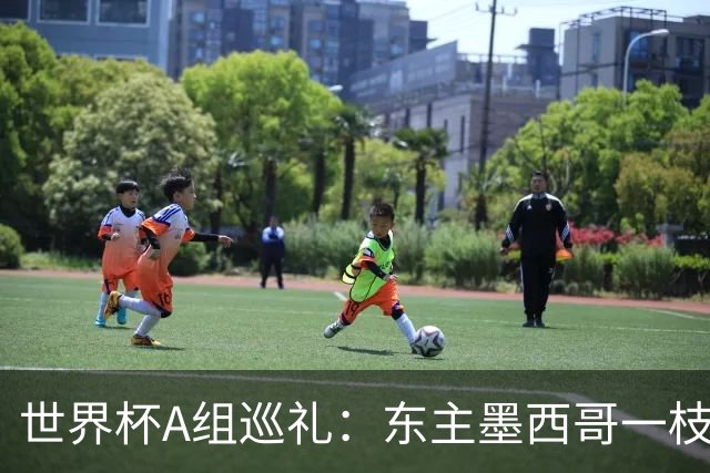 世界杯A组巡礼：东主墨西哥一枝独秀 韩国有望突破历史