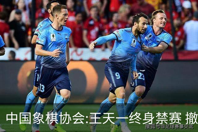 中国象棋协会:王天一终身禁赛 撤销特大等称号