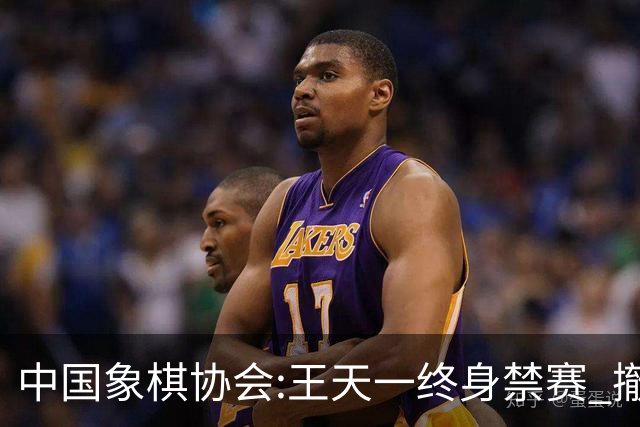 中国象棋协会:王天一终身禁赛 撤销特大等称号