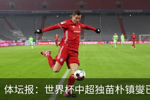 体坛报：世界杯中超独苗朴镇燮已回浙江队，增强球队中后场硬度