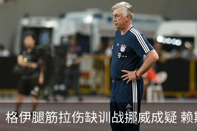 格伊腿筋拉伤缺训战挪威成疑 赖斯胃部不适和队友隔离