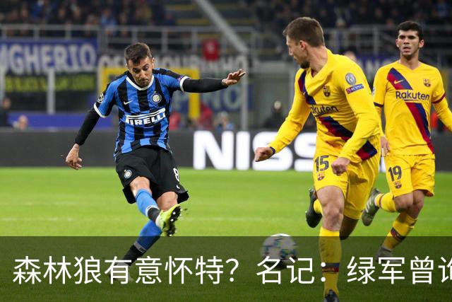 森林狼有意怀特？名记：绿军曾询价戈贝尔被拒绝 他和怀特能配平